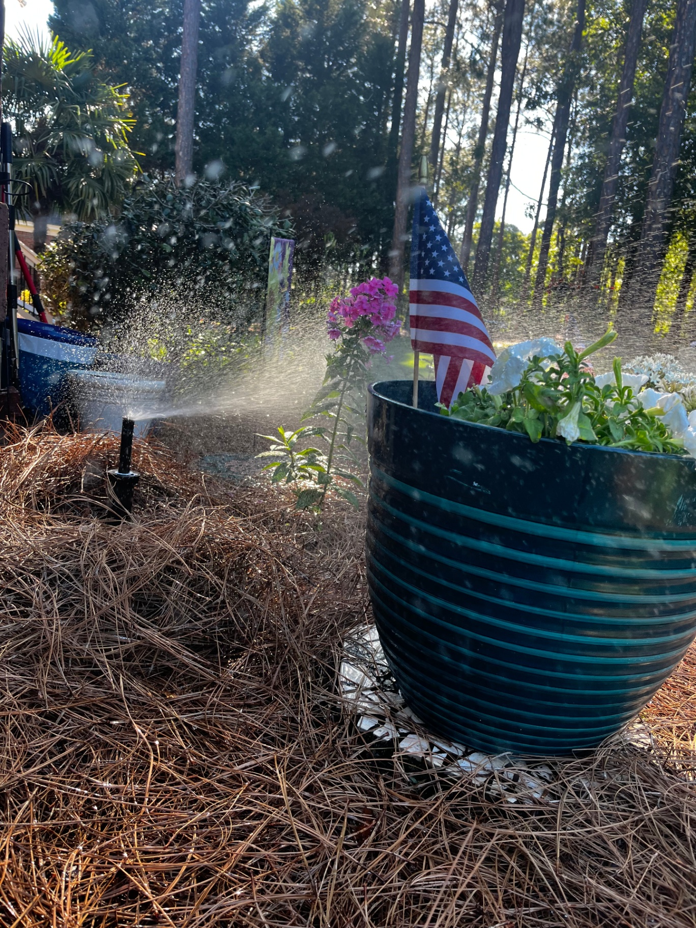 Sprinkler head replacement project